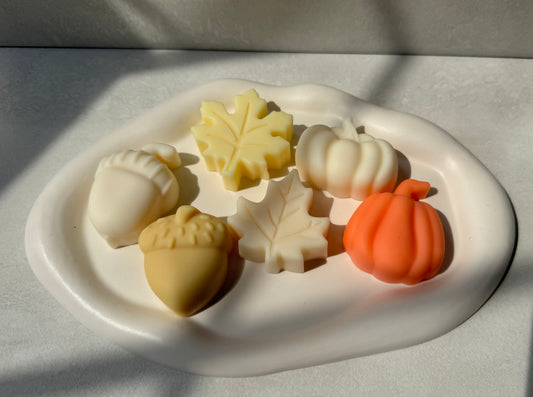 Fall Favorites Wax Melt Sampler
